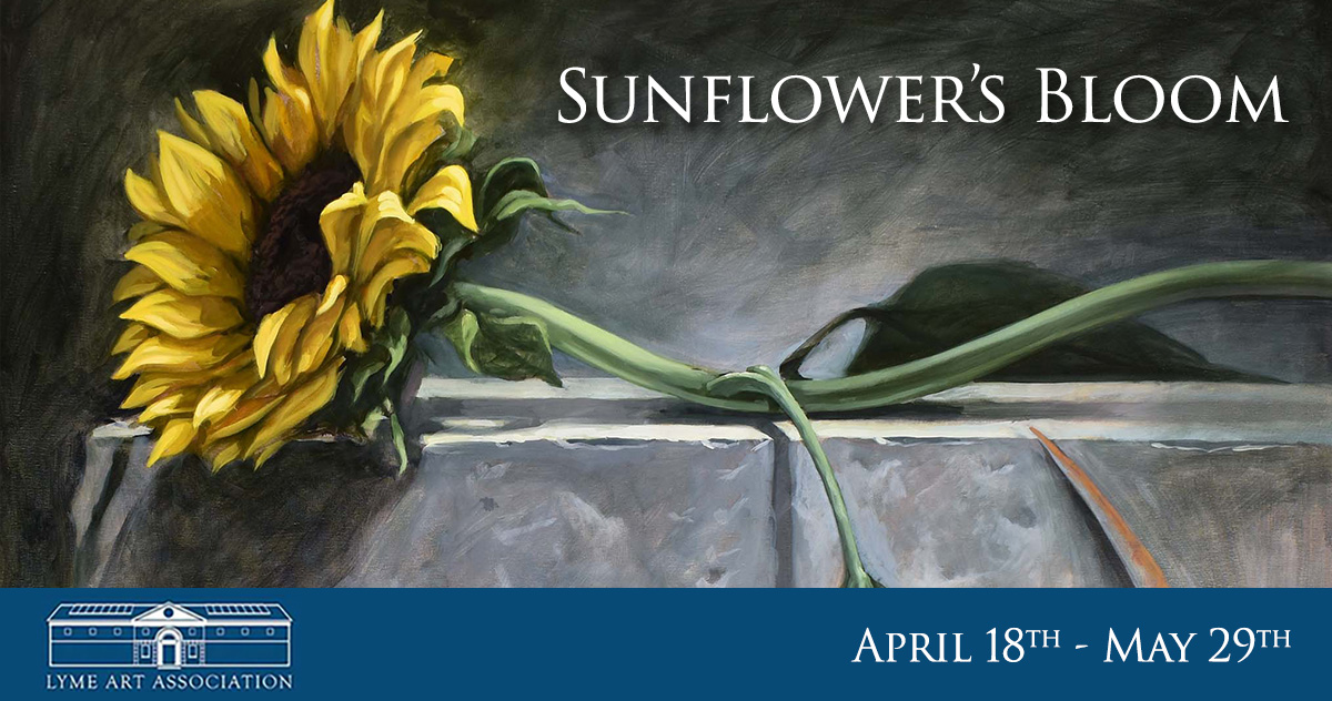 LAA: Sunflower’s Bloom